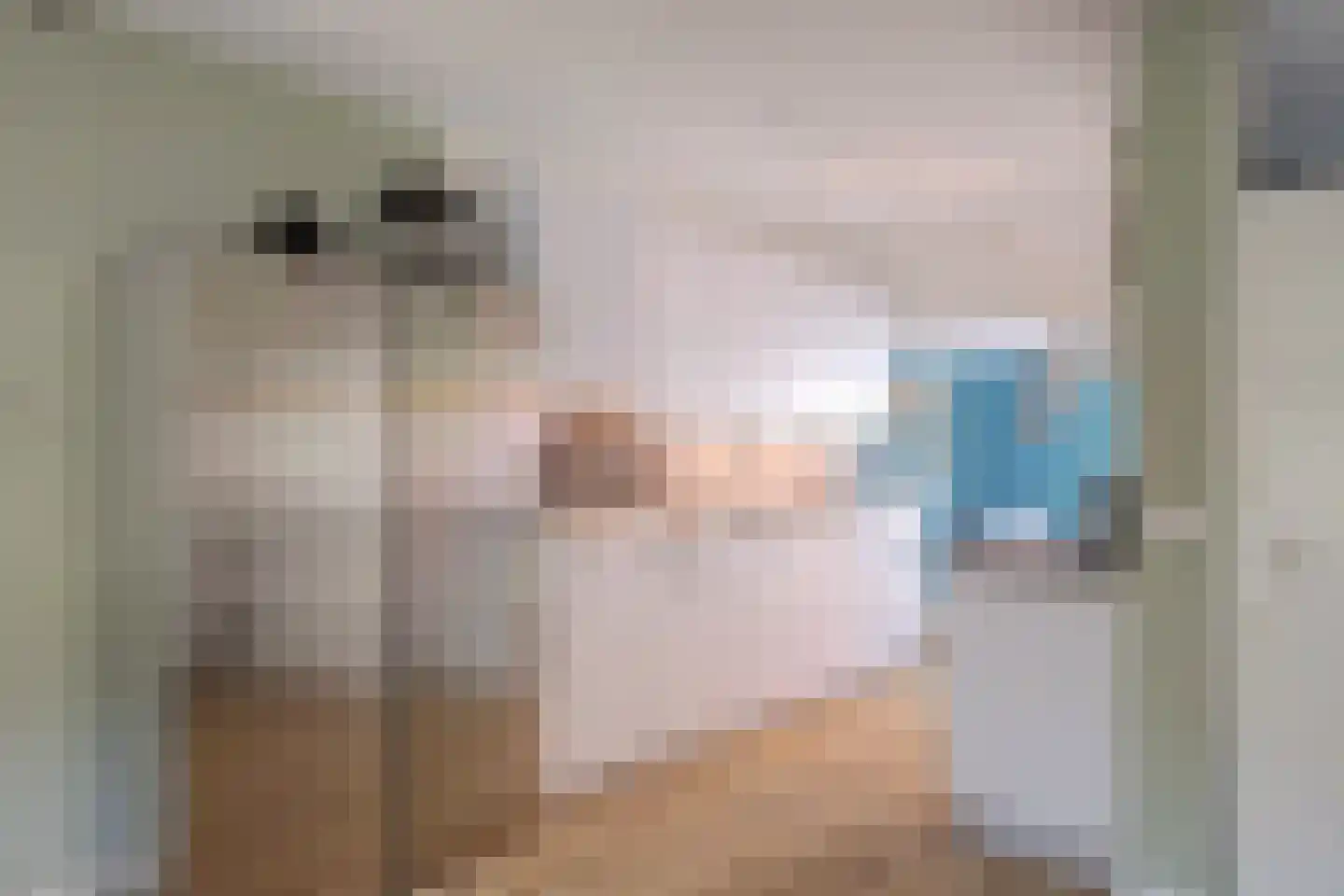 Veenzoom 90 Gouda thumbnail 11