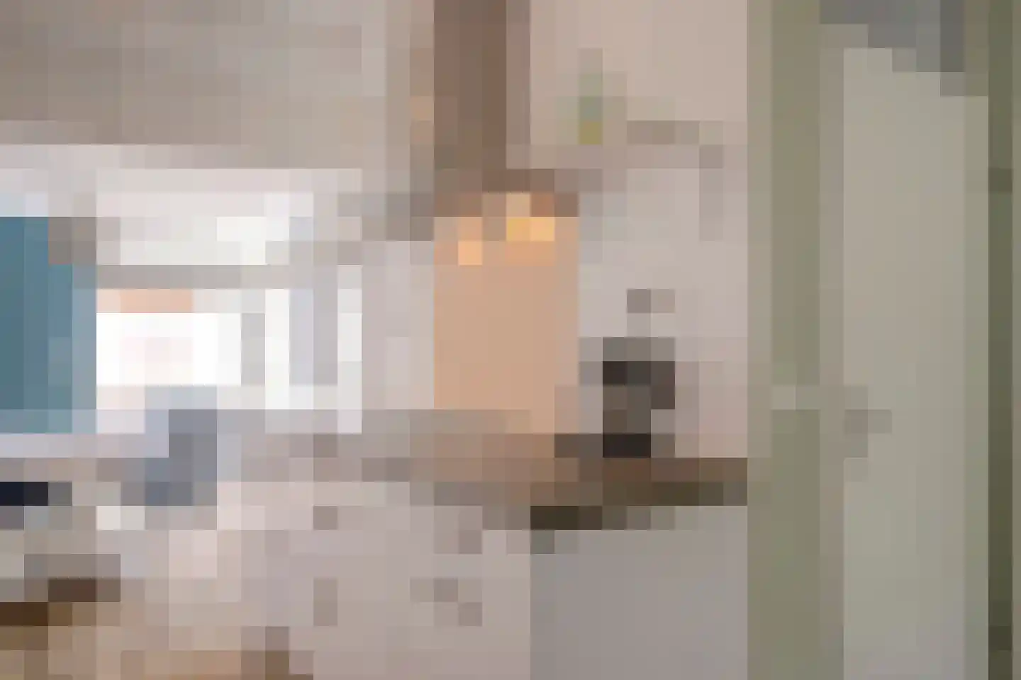 Veenzoom 90 Gouda thumbnail 13