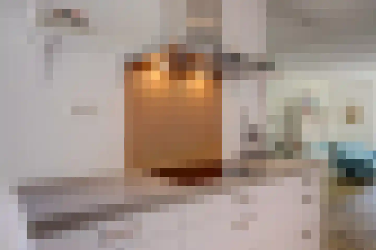 Veenzoom 90 Gouda thumbnail 15