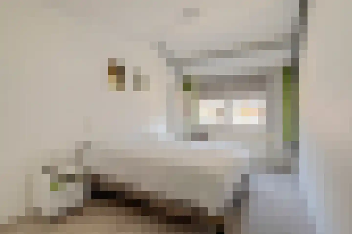 Veenzoom 90 Gouda thumbnail 18
