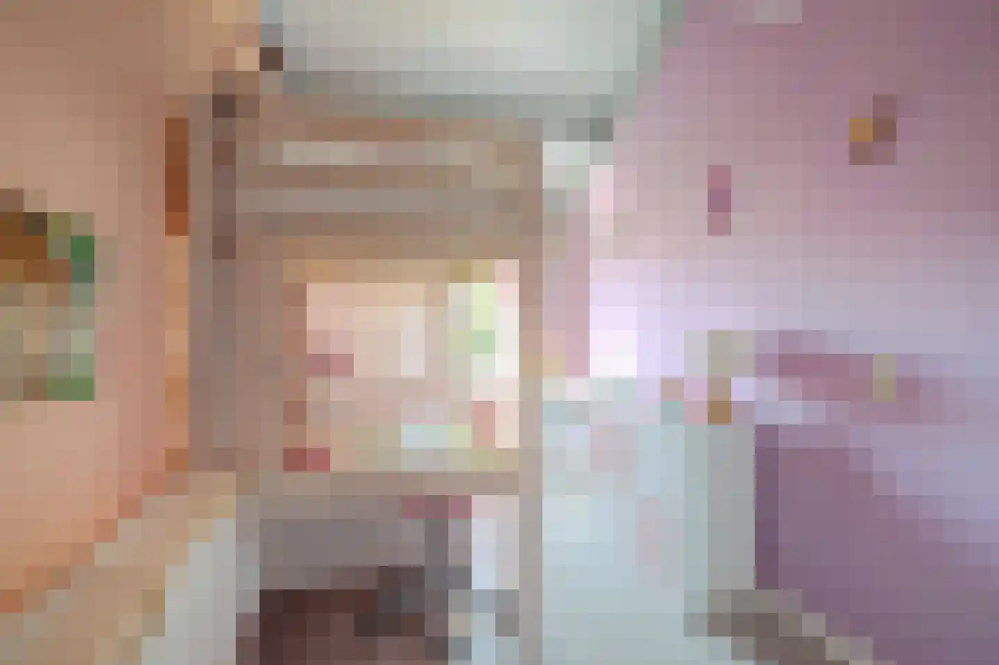 Veenzoom 90 Gouda thumbnail 22