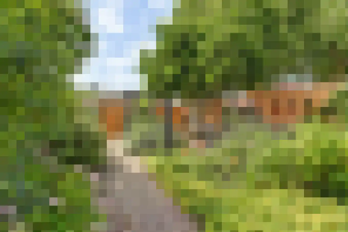 Veenzoom 90 Gouda thumbnail 37