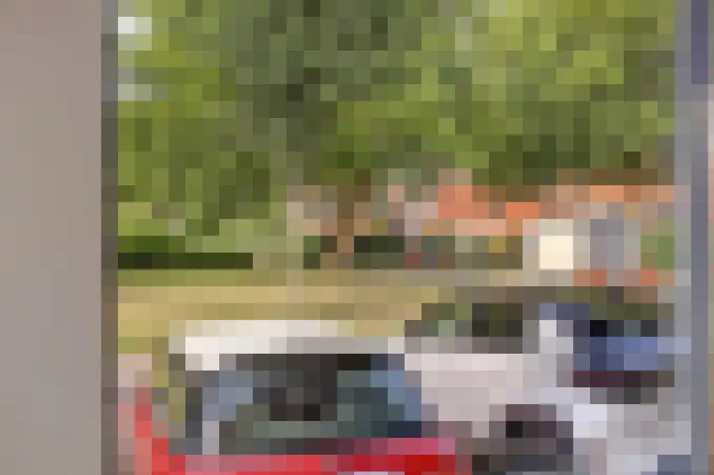 Veenzoom 90 Gouda thumbnail 39