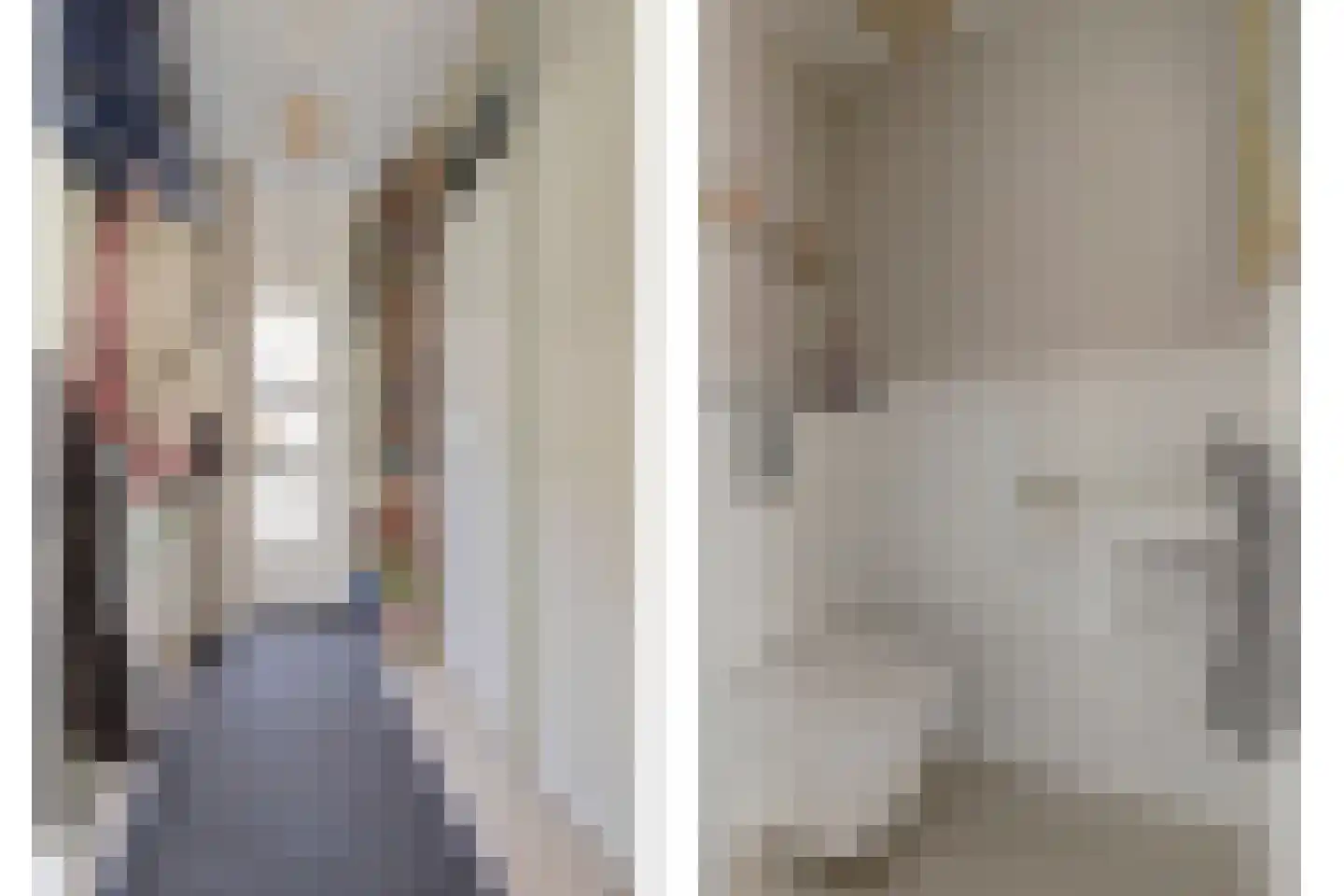 Veenzoom 90 Gouda thumbnail 7