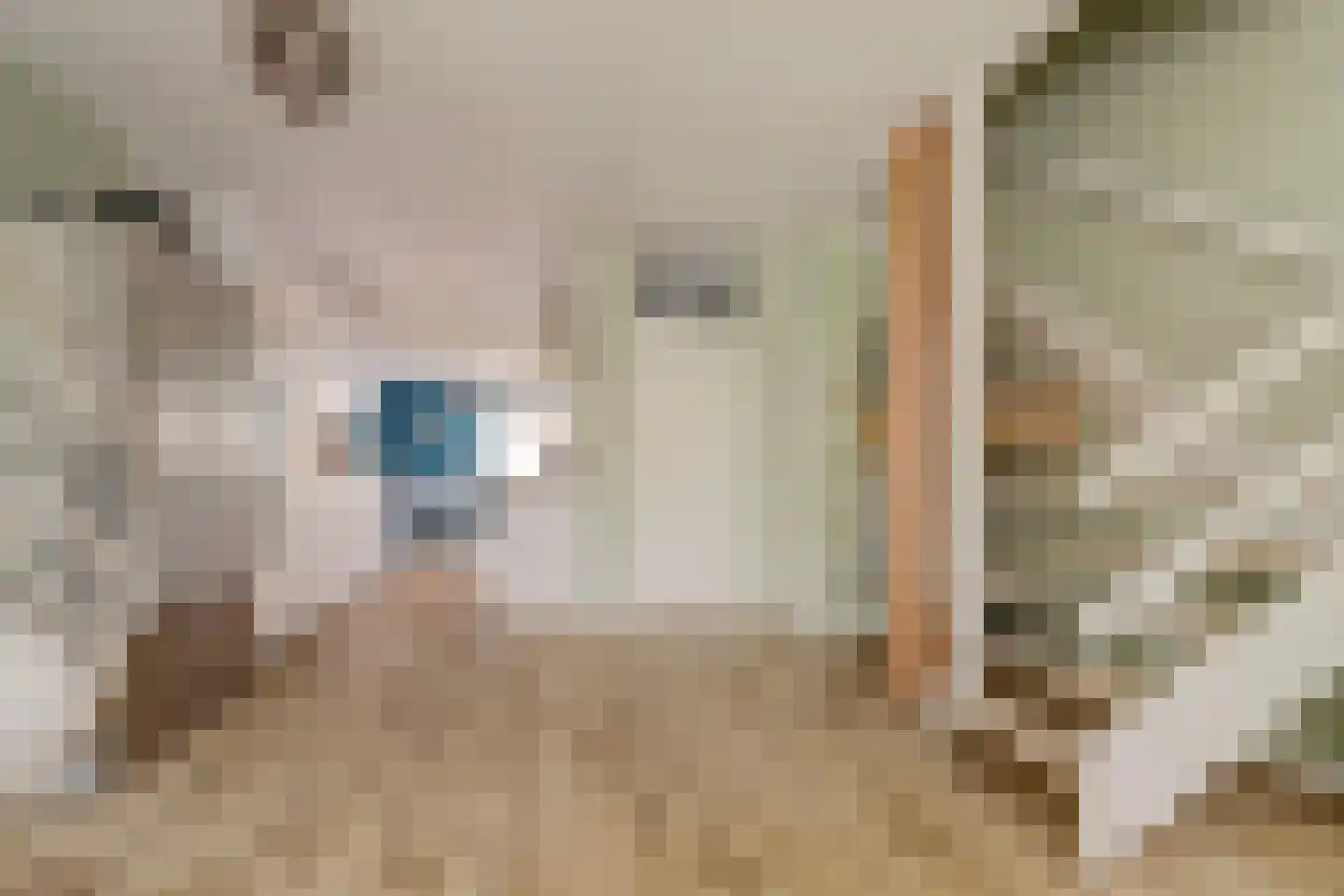 Veenzoom 90 Gouda thumbnail 9