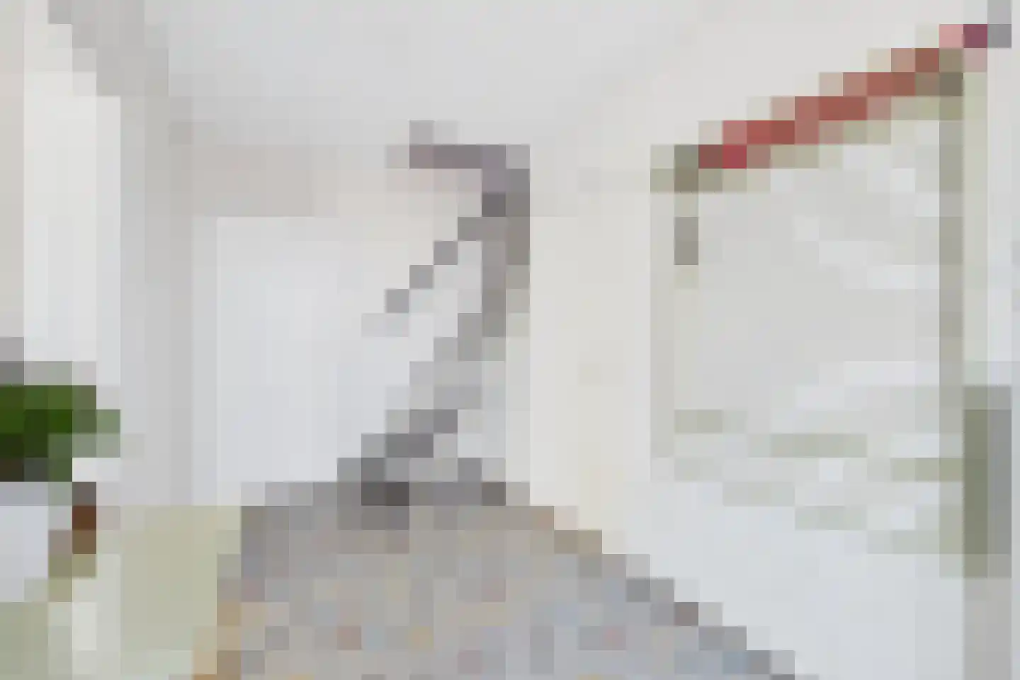 Veer 100 Zaamslag thumbnail 10