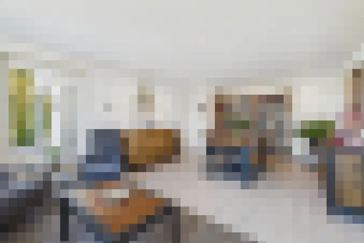 Veer 100 Zaamslag thumbnail 13