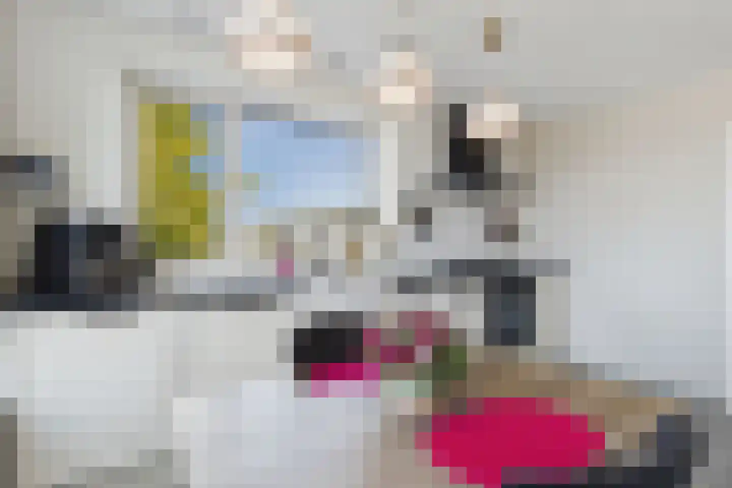 Veer 100 Zaamslag thumbnail 18