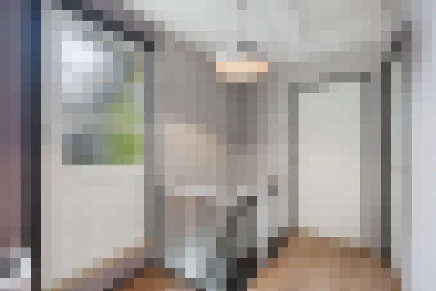 Veer 100 Zaamslag thumbnail 24