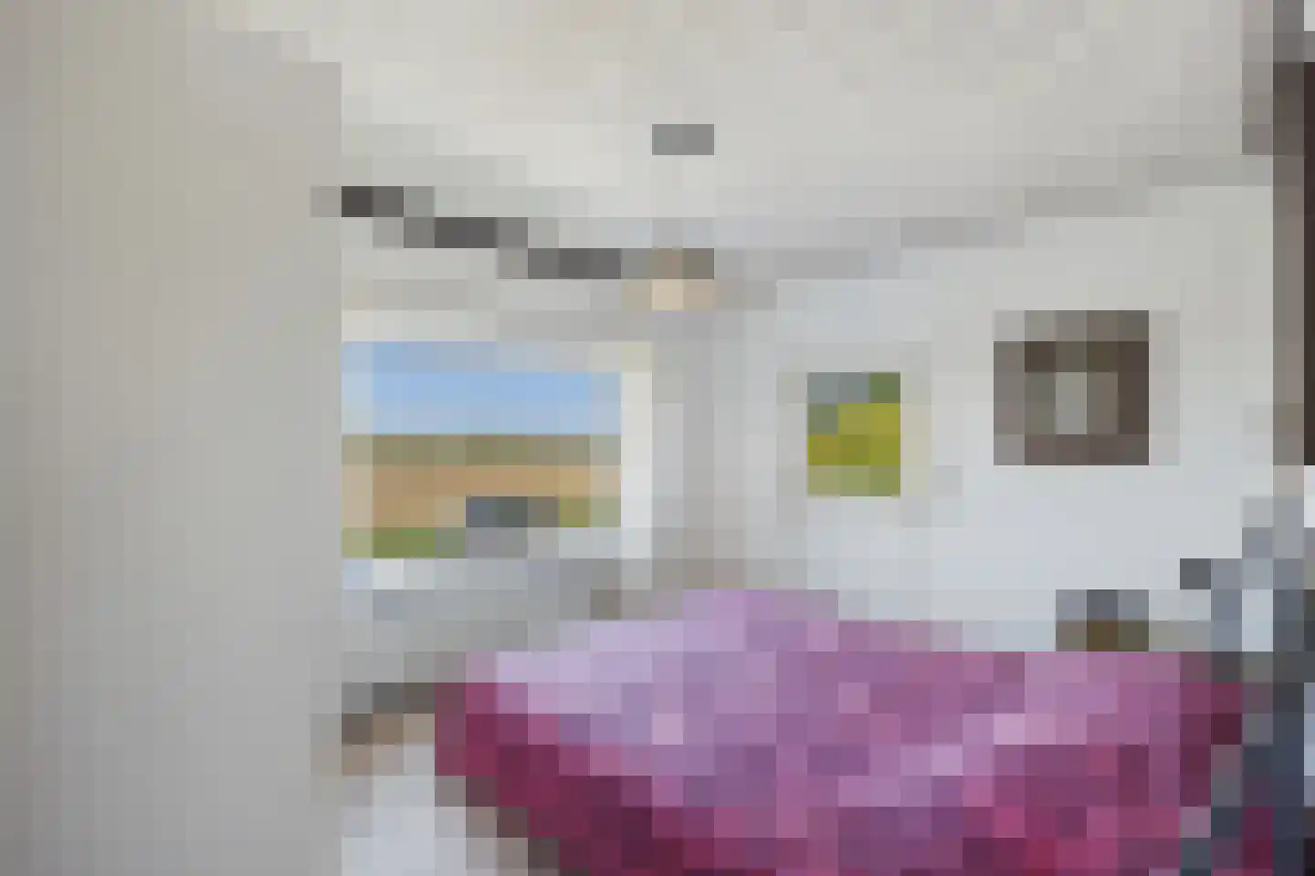 Veer 100 Zaamslag thumbnail 28