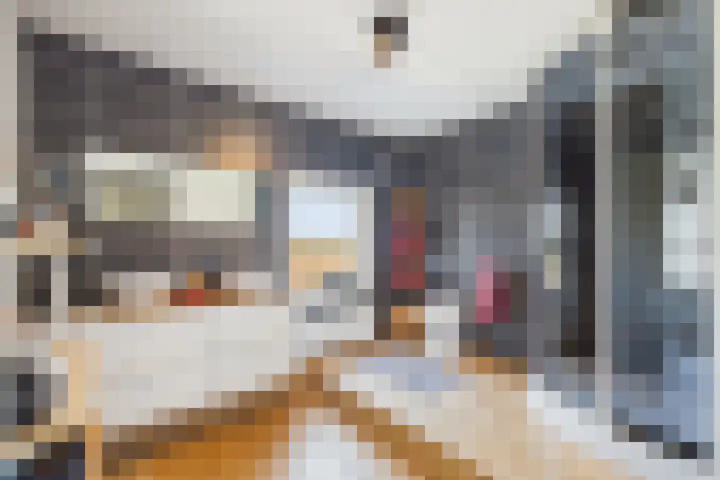 Veer 100 Zaamslag thumbnail 33