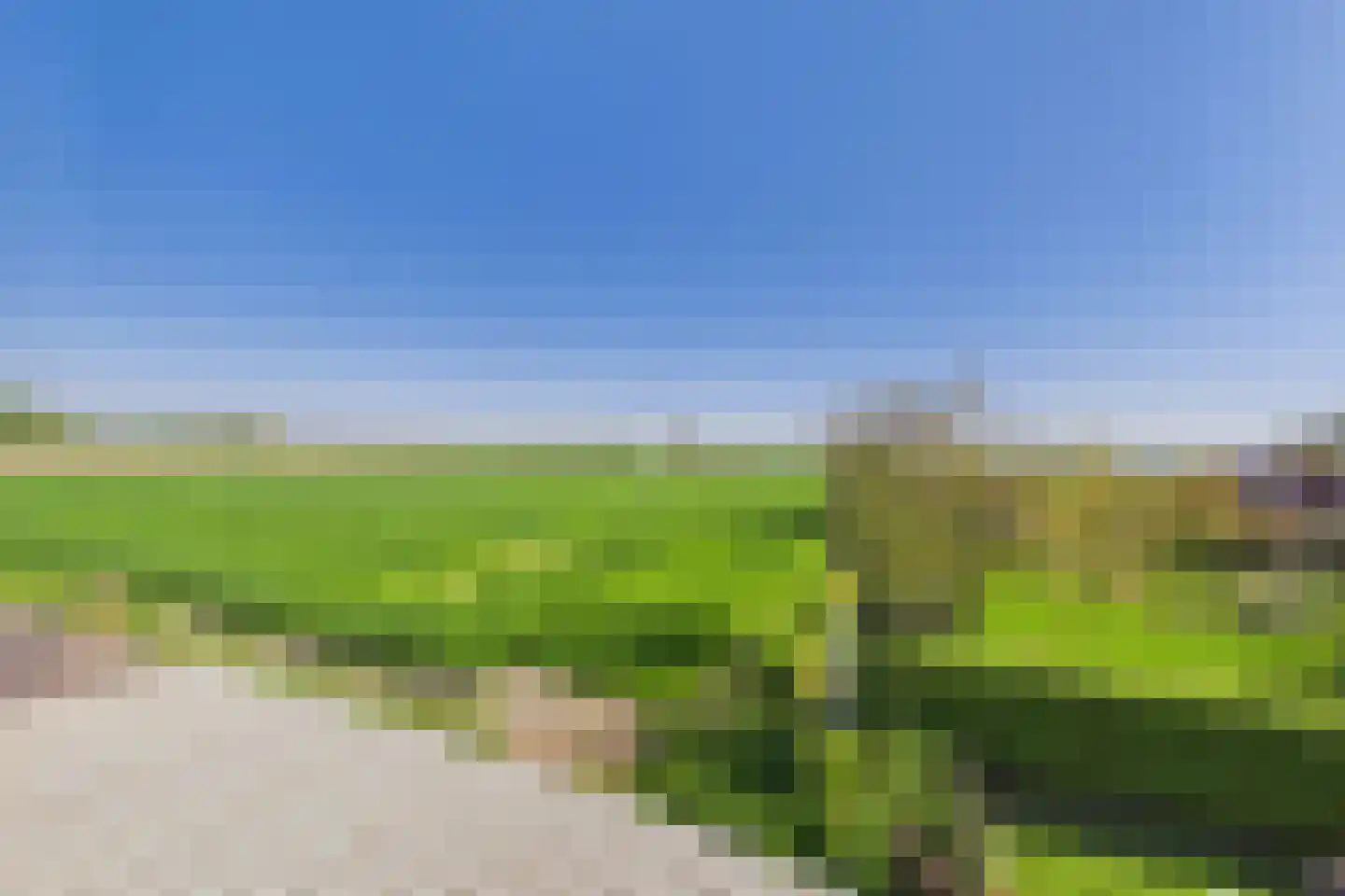 Veer 100 Zaamslag thumbnail 35