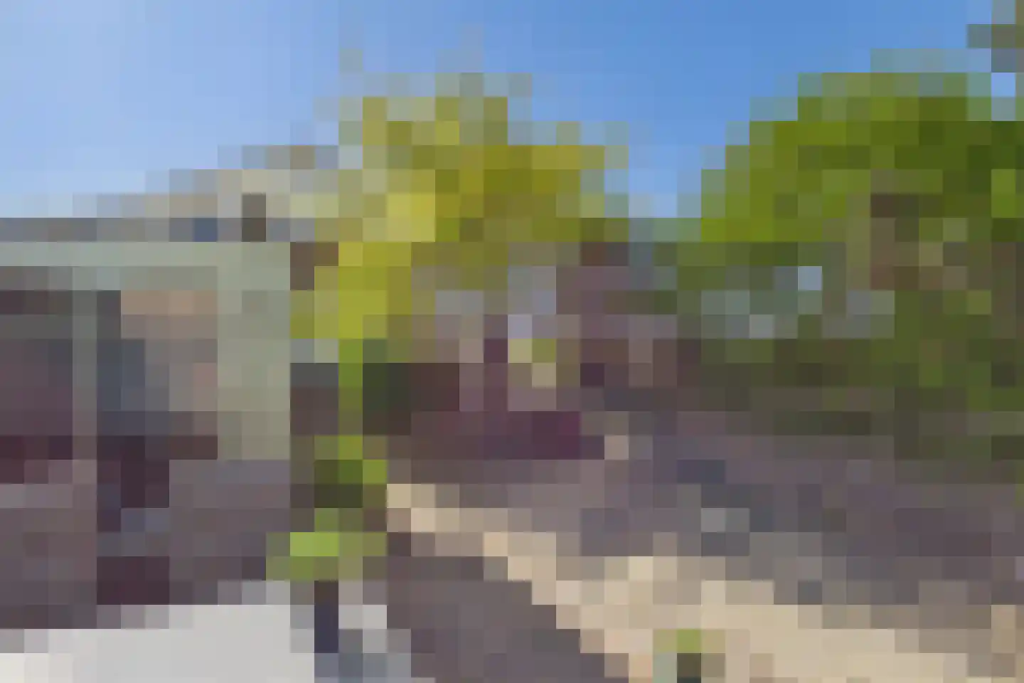 Veer 100 Zaamslag thumbnail 39