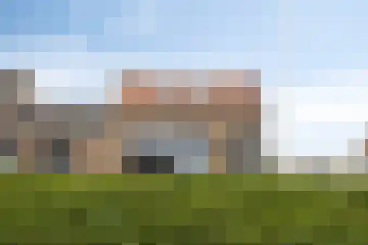 Veer 41 in Zaamslag