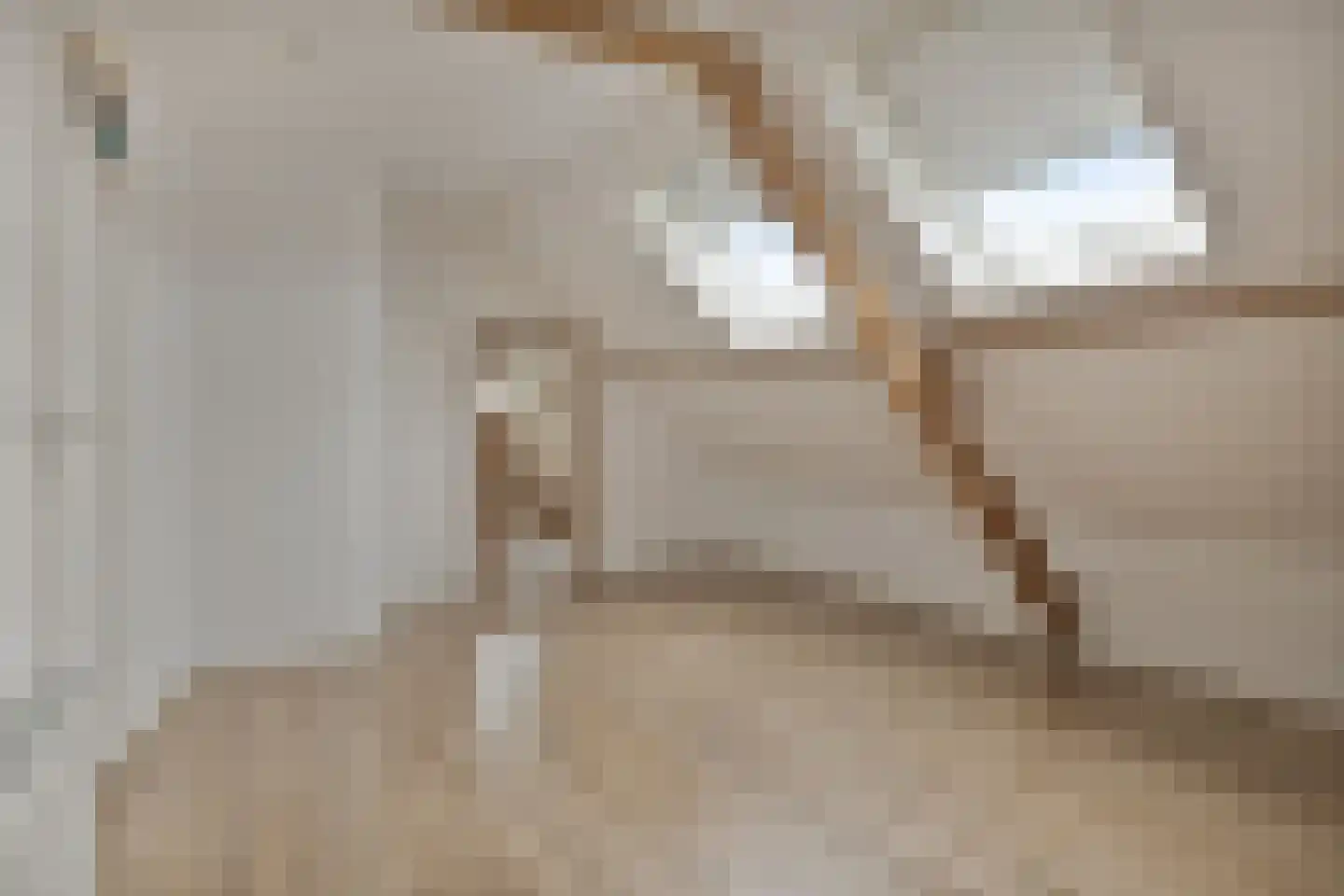 Veer 41 Zaamslag thumbnail 20