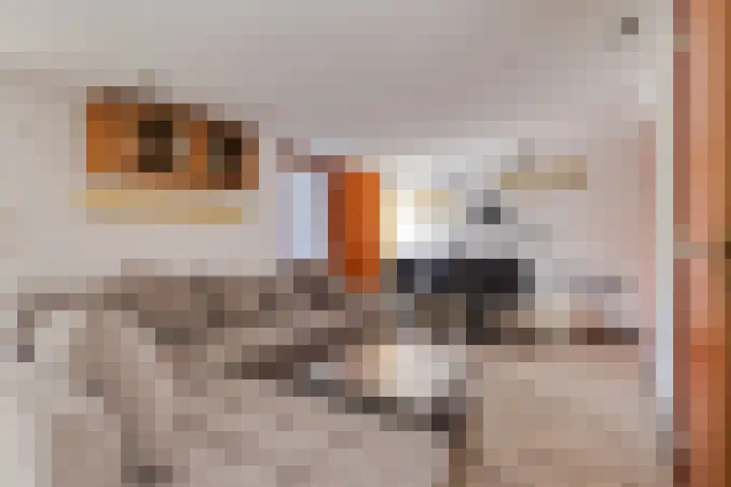 Veer 41 Zaamslag thumbnail 31