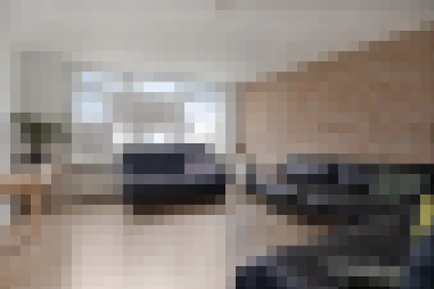 Veer 41 Zaamslag thumbnail 5