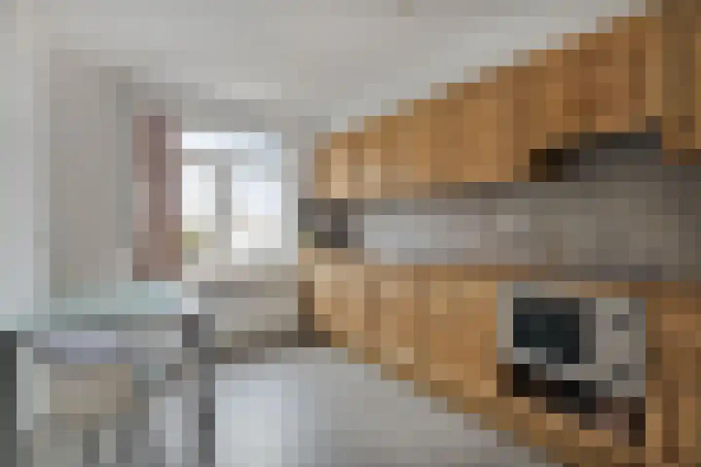 Veer 41 Zaamslag thumbnail 8