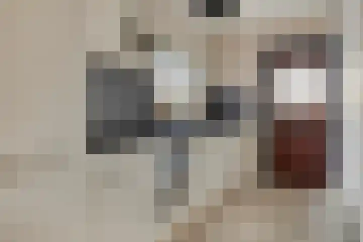 Veer 69 Zaamslag thumbnail 10