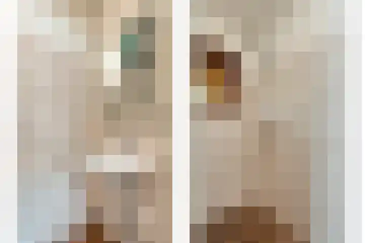 Veer 69 Zaamslag thumbnail 11