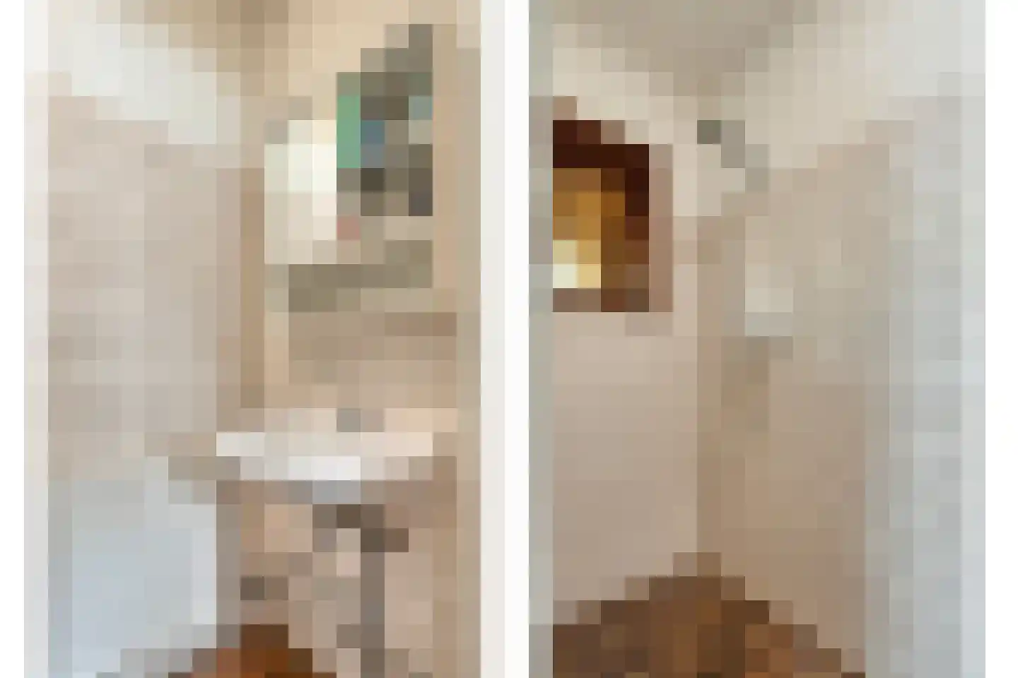 Veer 69 Zaamslag thumbnail 11