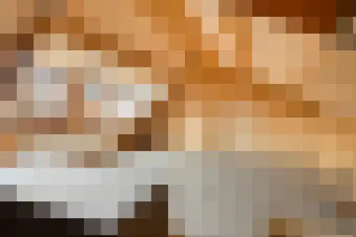 Veer 69 Zaamslag thumbnail 13