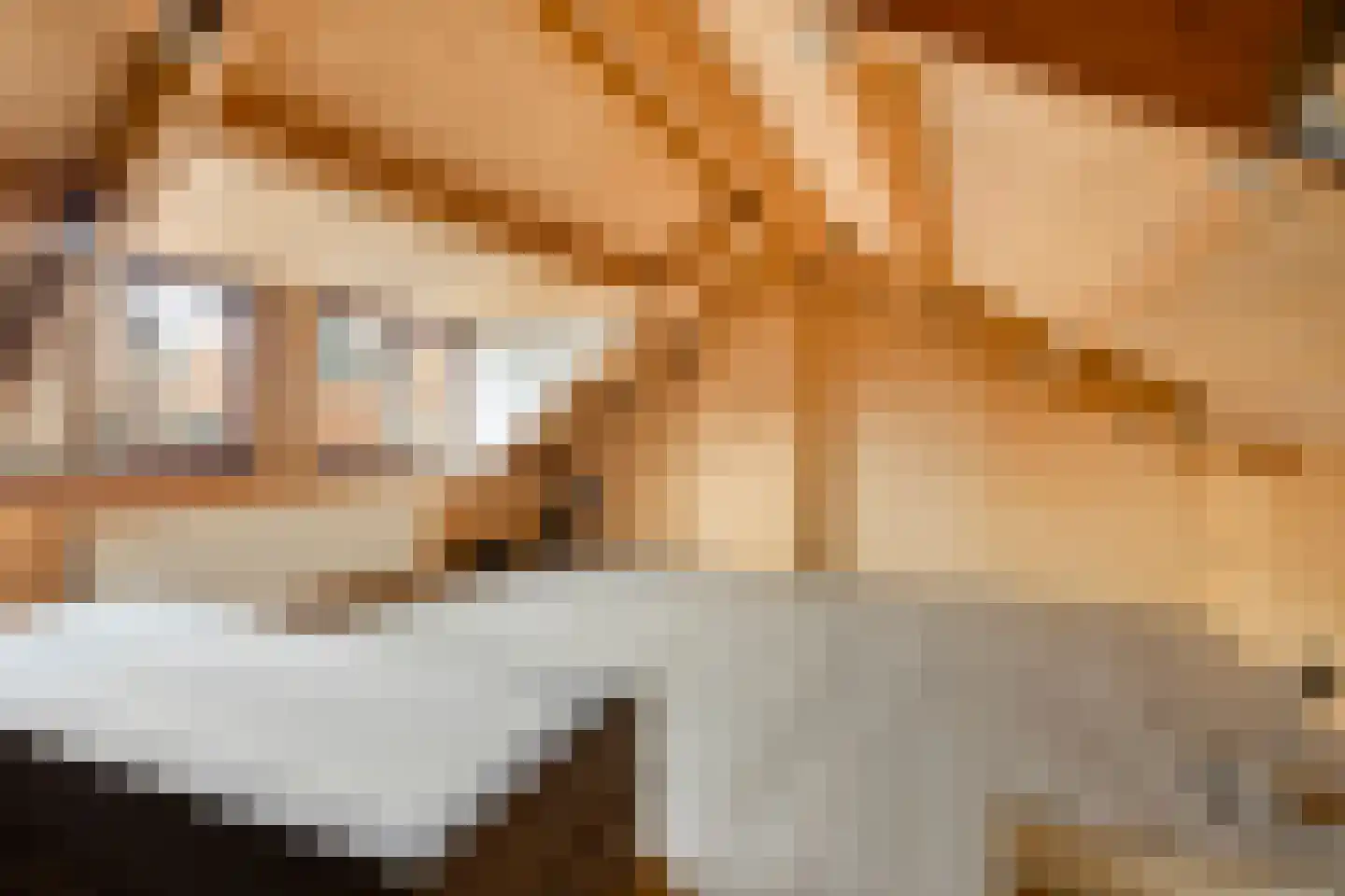 Veer 69 Zaamslag thumbnail 13