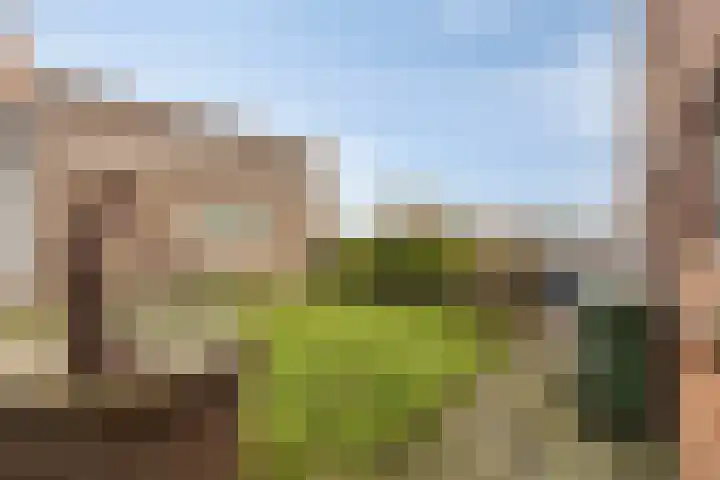 Veer 69 Zaamslag thumbnail 14