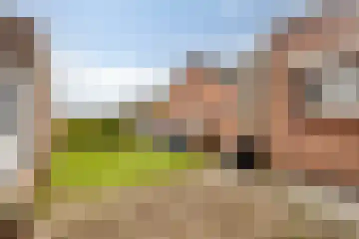 Veer 69 Zaamslag thumbnail 15