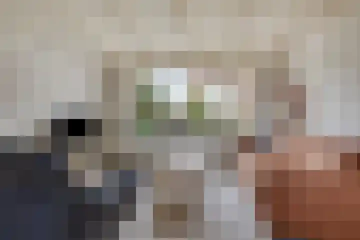 Veer 69 Zaamslag foto 3