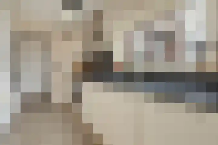 Veer 69 Zaamslag thumbnail 4