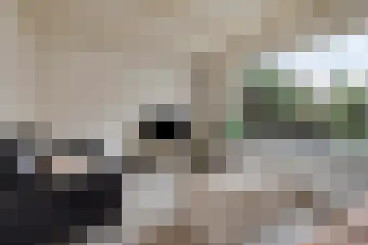 Veer 69 Zaamslag thumbnail 7