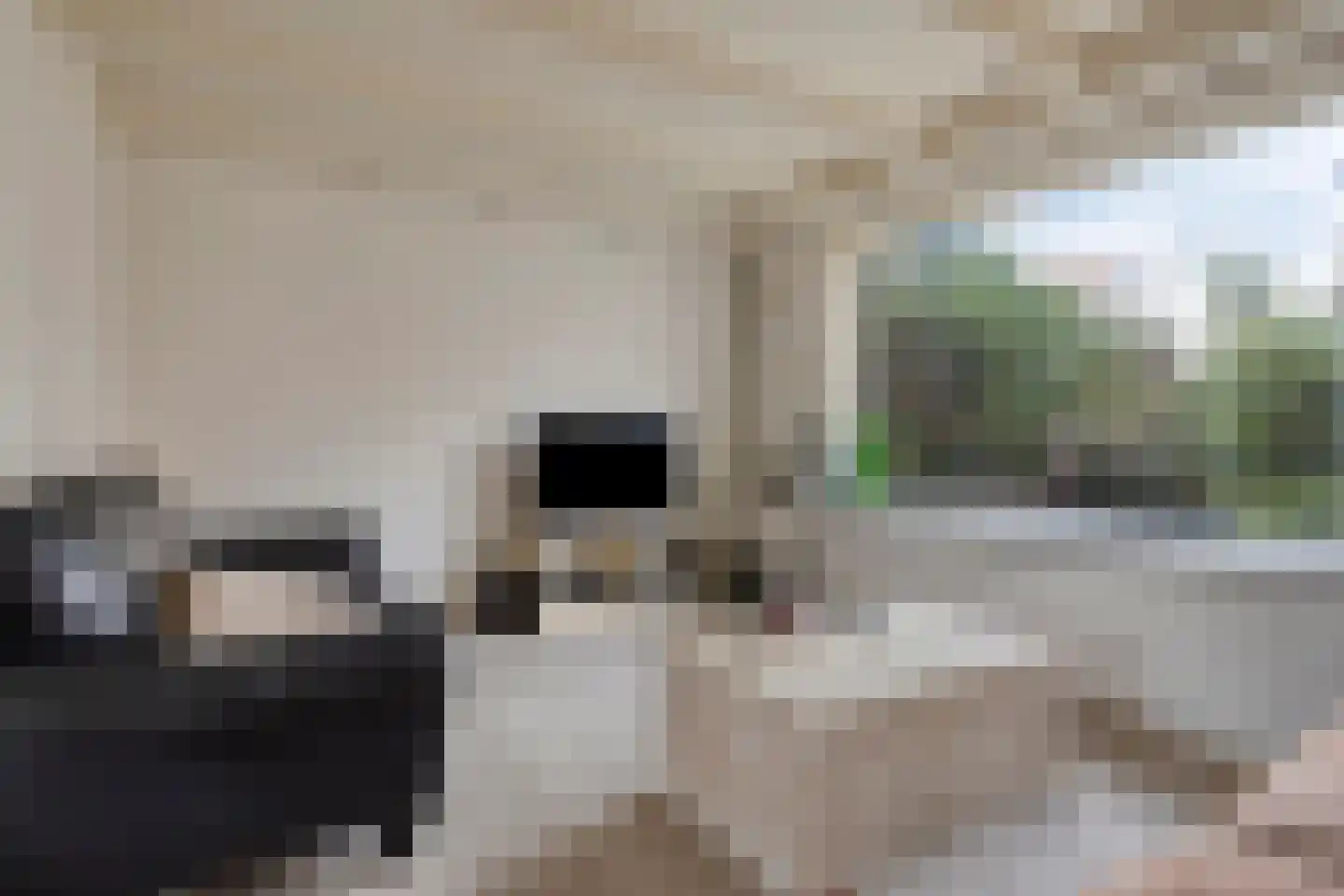 Veer 69 Zaamslag thumbnail 7