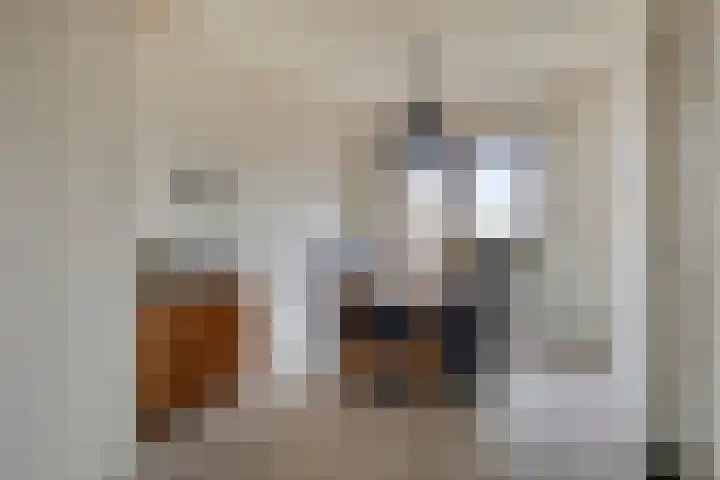Veer 69 Zaamslag thumbnail 8