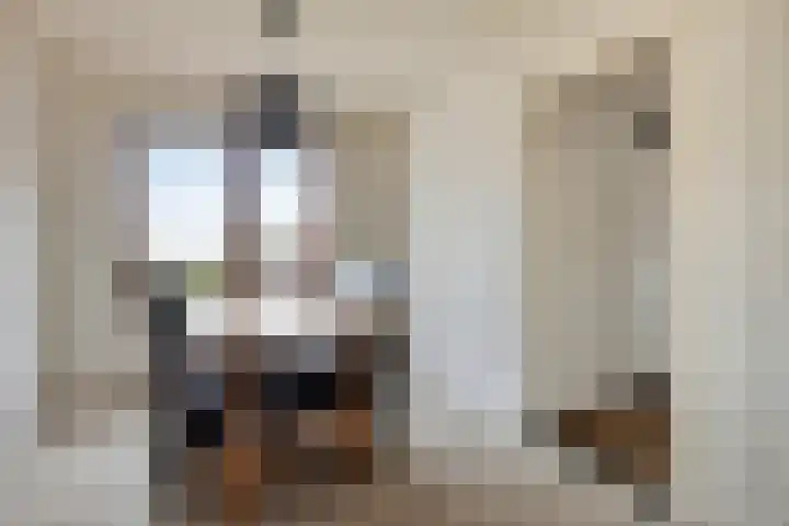 Veer 69 Zaamslag thumbnail 9