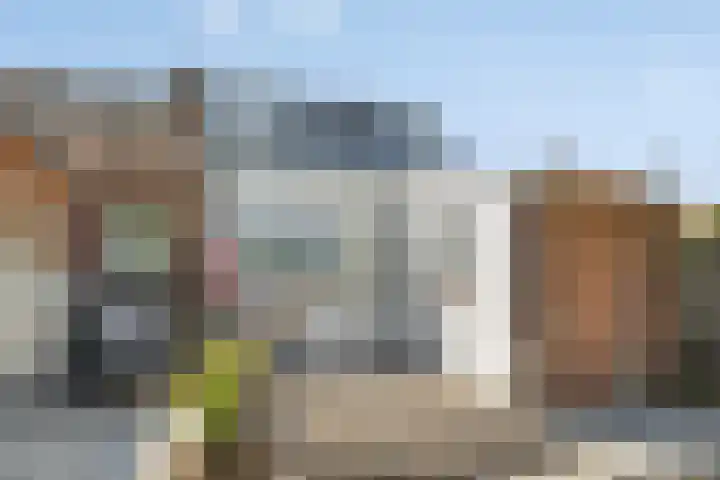 Veer 78 Zaamslag thumbnail 14