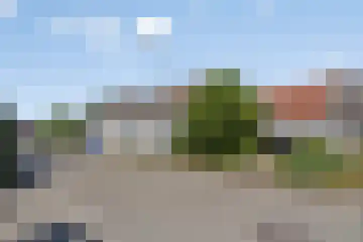 Veer 78 Zaamslag thumbnail 16