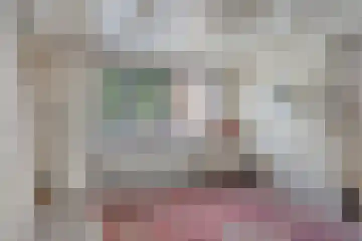Veer 78 Zaamslag thumbnail 4