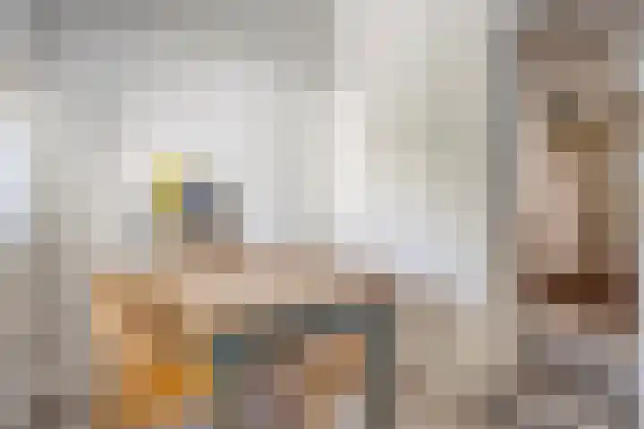 Veer 78 Zaamslag thumbnail 6