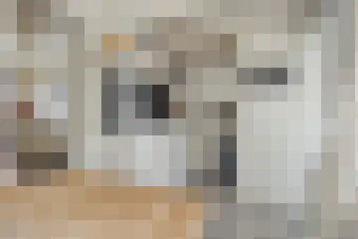 Veer 78 Zaamslag thumbnail 7