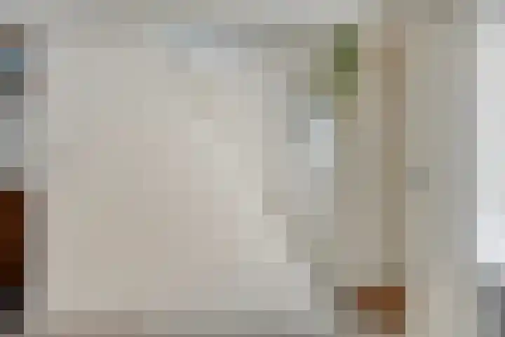 Veer 78 Zaamslag thumbnail 8