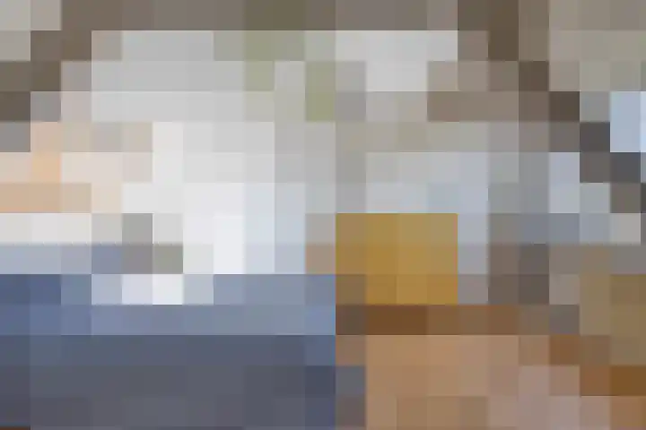Veer 78 Zaamslag thumbnail 9