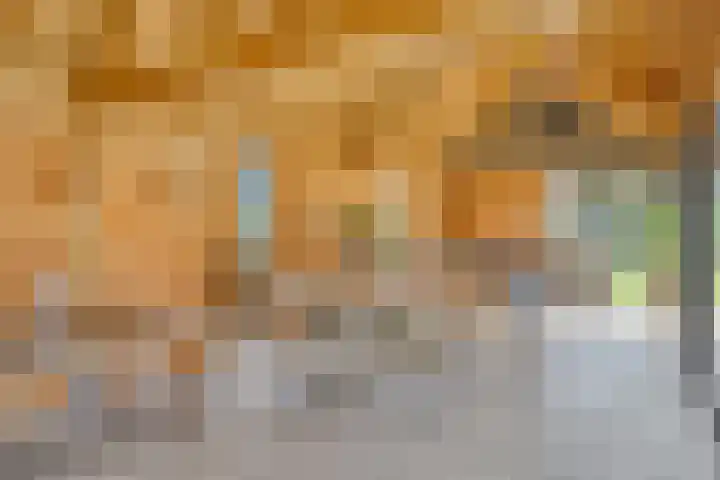 Veer 93 Zaamslag thumbnail 13