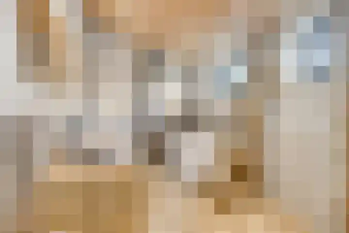 Veer 93 Zaamslag thumbnail 33
