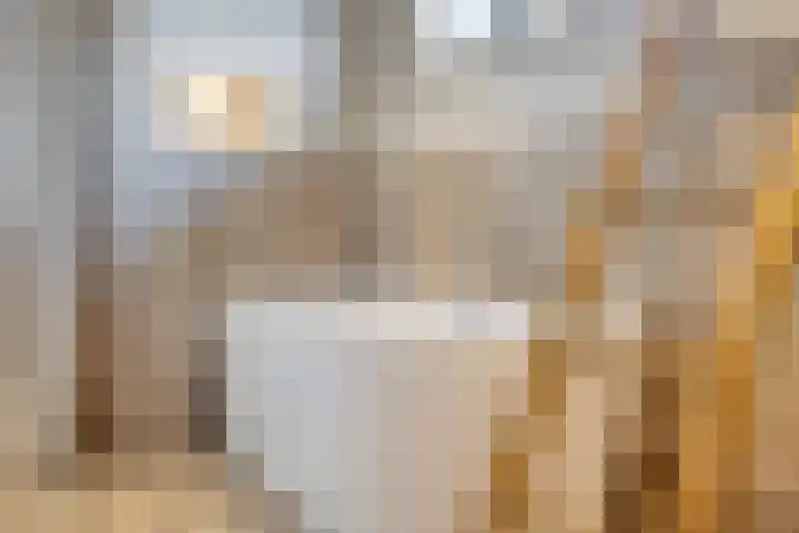 Veer 93 Zaamslag thumbnail 35