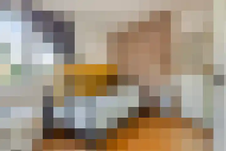 Veer 93 Zaamslag thumbnail 37