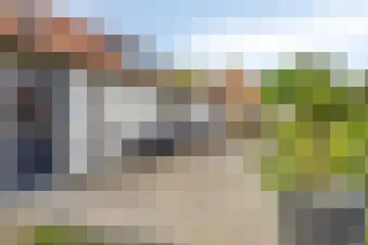 Veer 93 Zaamslag thumbnail 6