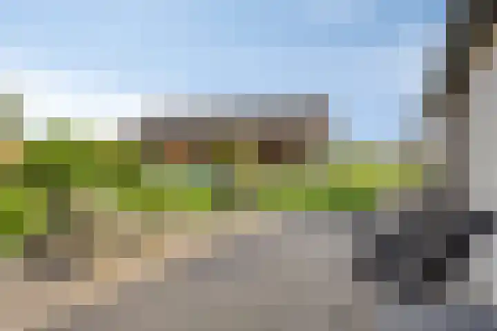 Veer 93 Zaamslag thumbnail 7