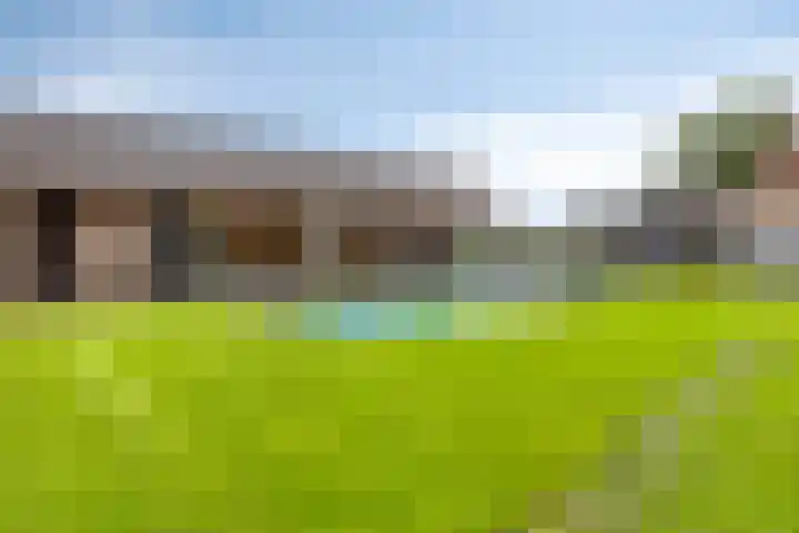 Veer 93 Zaamslag thumbnail 8