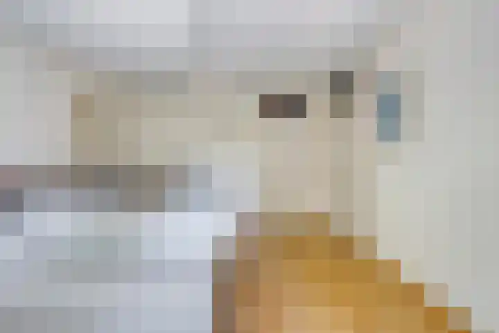 Veerallee 60 B Zwolle thumbnail 17